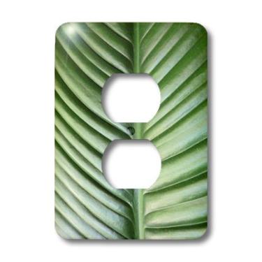 Imagem de 3dRose lsp_193143_6 Impressão de Foto Closeup da Palm Frond From Boca Raton Light Switch Cover