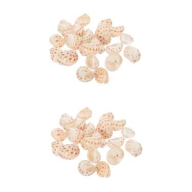 Imagem de AKALNNB 4 conjuntos de conchas artesanais decoração planta terrário decoração oceano paisagem rede peixes mar submerso cascalho plataforma decorações aquário pequeno concha de areia 40 peças