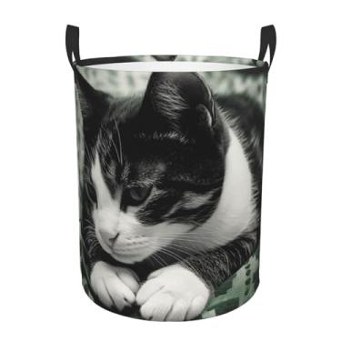 Imagem de Cesto de roupa suja para gatos preto e branco, dobrável, impermeável, cesto de armazenamento de roupas com alças, pano Oxford, organizador de brinquedos, cesta para banheiro, lavanderia, quarto, médio