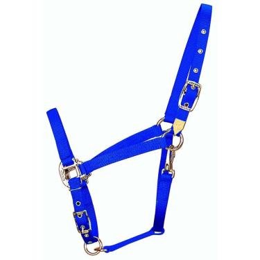 Imagem de Horse Halter Hamilton Nylon Arabian com azul ajustável