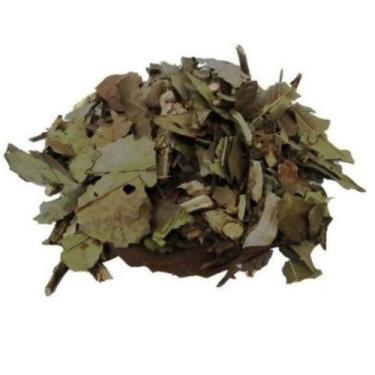 Imagem de Chá Verde Banchá 1Kg ((Camellia Sinensis) - Top Life