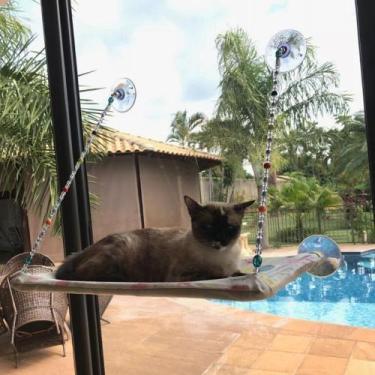 Imagem de Cama Rede De Janela Para Gatos! Cama Suspensa - Au Au Miau Company, Pr