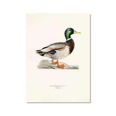 Imagem de Pôster de arte de parede vintage com estampa de pato rústica, pássaros, lago, natureza, retrô, pintura, quadros, decoração de quarto de fazenda (SKU2,50,8 x 71,1 cm = (50 x 70 cm), sem moldura)