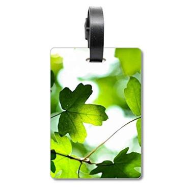 Imagem de Sunshine Leaf Plant Picture Nature Suitcase Bag Tag Luggage Card Scutcheon Label