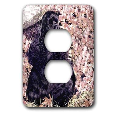 Imagem de 3dRose Cocker Spaniel preto - 2 tampas de tomada (lsp_801_6), varia