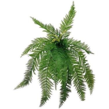 Imagem de Buque Buque Samambaia Renda Portuguesa x 11 Folhas 72cm Luxo - La Caza