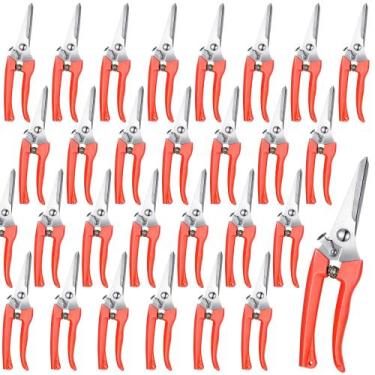 Imagem de Tesoura de flores de jardim e tesoura de poda Chumia 30 unidades de la