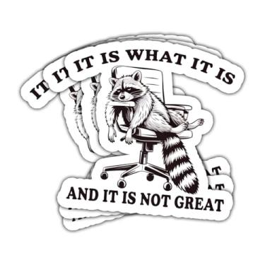 Imagem de Adesivo engraçado de guaxinim com 3 peças It is What It is and It is Not Great adesivo de guaxinim It is What It is What It is Decalque para capacetes para laptop, garrafa, carro, capacete rígido de