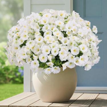 Imagem de CEWOR 24 pacotes de flores artificiais para ambientes externos, glória matinal de seda falsa com folhas de eucalipto, flores artificiais para jardim, porta da frente, varanda, pátio, decoração de casa