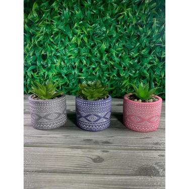 Imagem de Vaso De Cimento Colorido Redondo Com Suculenta Aleatório