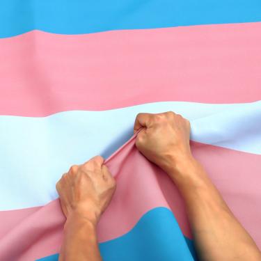 Imagem de Anley Rip-Proof Technology Double Side 3-Ply Transgender Flag 3x5 Foot - Cor viva, cabeçalho de lona e resistente a rugas - As bandeiras LGBT mais fortes e duradouras do arco-íris azul rosa 3 x 5 pés