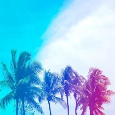 Imagem de Quadro Decorativo Tropical com Estampa de Palmeiras e Céu Colorido - Decoração para Sala, Quarto e Espaços Externos 50x50cm