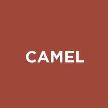 Imagem de Renovador spray - BONTON, Camel
