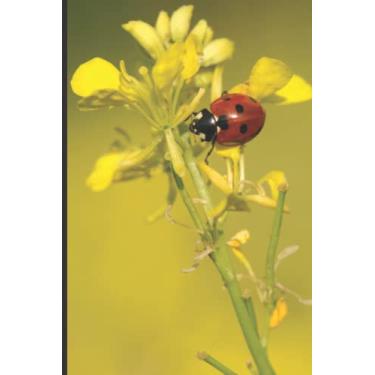 Imagem de Notebook: Gorgeous Ladybug Journal Wide Ruled Notebook | 120 Pages 6 x 9 Size