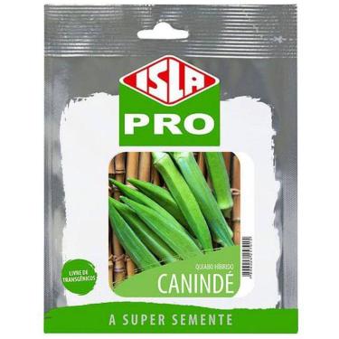 Imagem de Sementes de Quiabo Hibrido Canindé (100 Sementes) ISLA