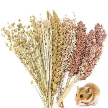 Imagem de Conjunto de grãos secos ao ar natural para hamster Bedding Fhiny 0,4 k