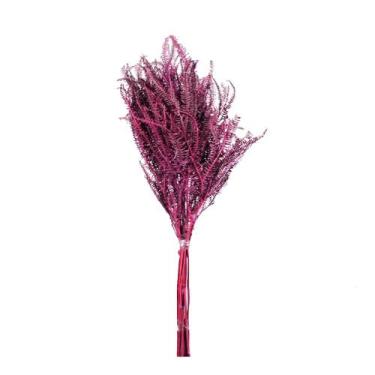 Imagem de Samambaia Tres Andares Lilás Desidratado - Pense Flores