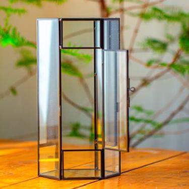 Imagem de NCYP Terrário pequeno de vidro com malha e porta para aranhas saltadoras, caracóis, insetos - Terrário de suculentas em forma de hexágono, 12 x 10 x 23 cm, decoração de mesa, preto (plantas não