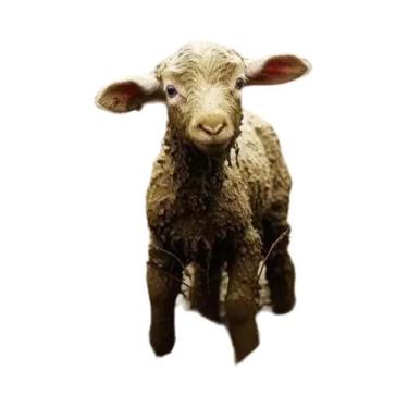 Imagem de Arte De Parede Em Tela De Jesus E Cordeiro, Decoração Cristã Para Sala