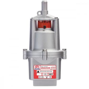 Imagem de Bomba Agua Anauger 650 127V 5 Geracao 60561, 110V