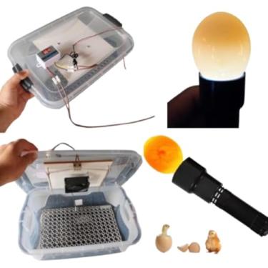 Imagem de Chocadeira Pet 220 ou 120 Volts Com Ovoscopio Cooler Para 30 Ovos De Galinha Ou 90 De Codorna