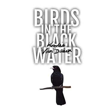 Imagem de Birds in the Black Water: A Dark, Paranormal Drama
