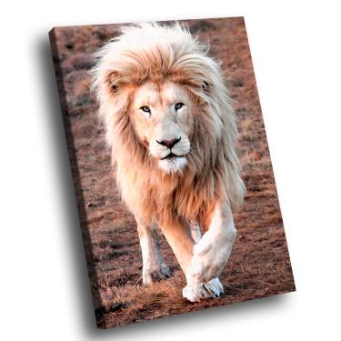Imagem de Quadro Decorativo Leão Branco