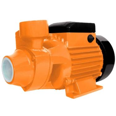 Imagem de Motobomba periférica 1 hp bivolt - BP1000 110V/220V - Intech Machine