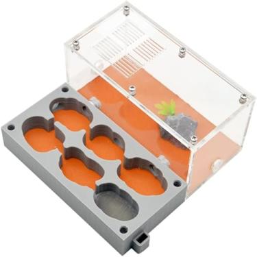 Imagem de 3D Fazenda de Formigas Gesso Ninho de Formiga Caixa de Formicário com Área de Alimentação Formiga Acrílica Rainha Reprodução Castelo Casa de Formiga Ecológica Vila Hidratante Piscina de Água