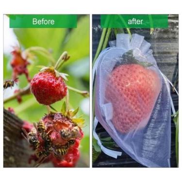 Imagem de 100 Saco Organza Protege Fruta No pé Lavável para morangos - OKABOX