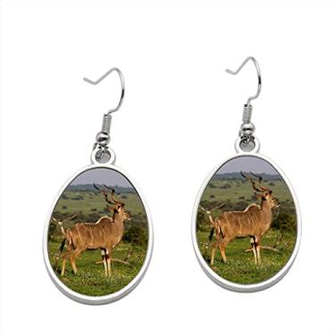 Imagem de Brinco Kudu - Brincos com pingente para meninas - Presente de festa de aniversário dos namorados