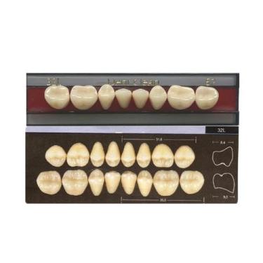 Imagem de Dente Dent Clean Posterior 32L Inferior - Imodonto