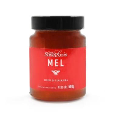 Imagem de Mel de Laranjeira Casa Santa Luzia  500g