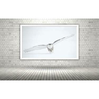 Imagem de Quadro Decorativo Coruja Branca Neve Voo  - 70x50cm