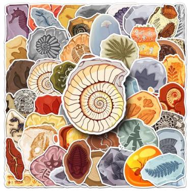 Imagem de Adesivos Fossil Vintage e Retro Fossil Decalks impermeáveis x50 - yiwe