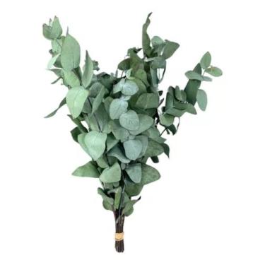 Imagem de Mini Buquê Eucalipto 10Cm De Flor De Corte Decoração Desidratada - FLO