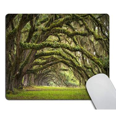 Imagem de Acessórios de mesa de escritório liso, coordenador de caos, citações vintage aquarela floral mouse, decoração de escritório para mulheres, presentes de escritório, decoração de mesa, Gm-151, 9.5*7.9 Inch