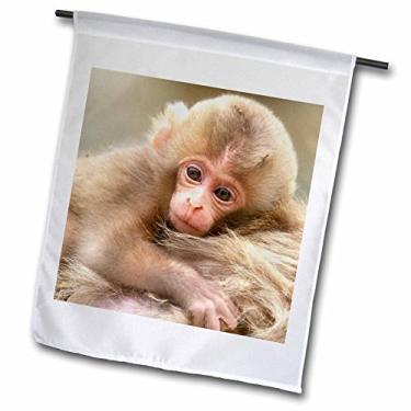 Imagem de 3dRose Snow Monkey Baby, Jigokudani, Nagano, Japão - Rob Tilley - Bandeira de jardim, 30,48 x 45,72 cm