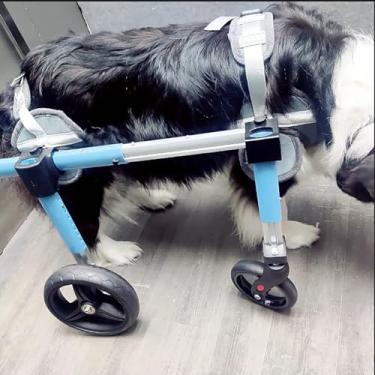 Imagem de Cadeira de rodas ajustável para pernas traseiras - Suporte total de 4 rodas para cães com deficiência, PP a 2GG, inclui opção de 2 rodas e joelheira para pernas traseiras