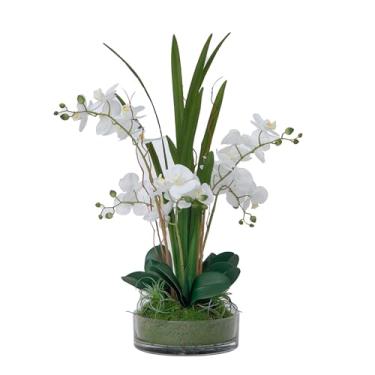 Imagem de Arranjo de orquídea branca de 75 cm em um vaso de vidro | Orquídeas Phalaenopsis de mariposa branca de toque real da Fiori Sempre