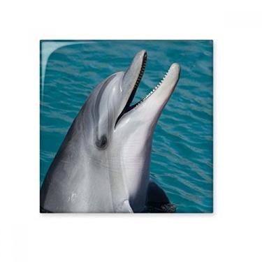 Imagem de Pedra adorna de tijolos vitrificados de tijolos vitrificados