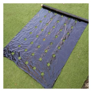 Imagem de Griculture Mulch, Pre-punched Hole Plastic Film Greenhouse Weeds Control Mylar Strawberry Vegetable Nursery Planting Tools Black (Size : 0.95x50m)