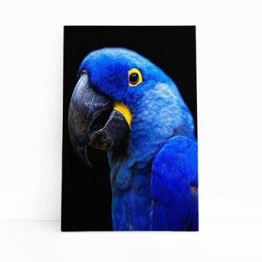Imagem de Arara Azul-grande Aves Animais Quadro Canvas 60x40cm - PlimShop
