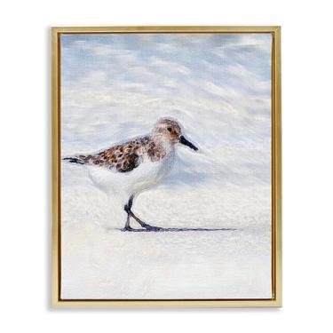 Imagem de Stupell Industries Pintura Blue Coast Sandpiper em tela flutuante, moldura dourada, design de arte de parede por Denise Brown, 25 x 31