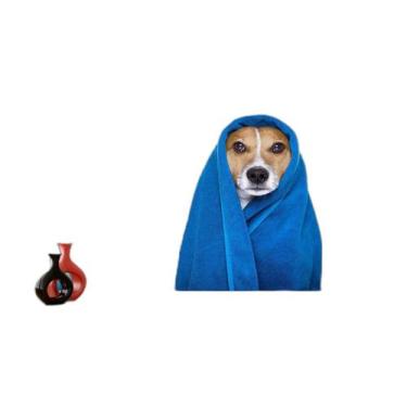 Imagem de Papel De Parede Animal Cão Petshop Banho Tosa 3,5M Anm372 - Você Decor