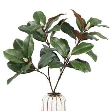 Imagem de XZJMY Folhas de magnólia artificial, ramos, 69,8 cm, hastes de magnólia 3D, folhas de magnólias falsas, planta para casa, escritório, quarto, vaso, decoração de arranjo floral (2, verde)