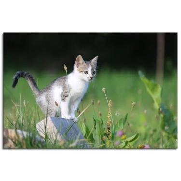 Imagem de Arte de parede doméstica impressão em tela de gato pôster de gatinho para casa conjunto de 1 decorações não ramificadas 30,5 x 20,3 cm