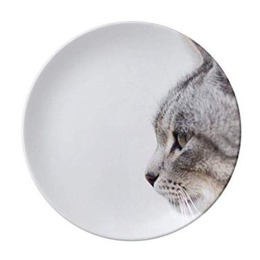 Imagem de Animal Yawn Cat Simpol Prato Decorativo de Porcelana Salver Prato de Jantar