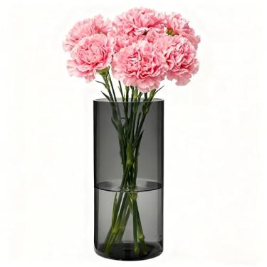 Imagem de Guluto Vaso de flores, vasos inquebráveis, 15,2 cm L x 30,5 cm A, vaso acrílico cinza, decoração estética de quarto vasos de flores cilíndricos modernos para mesa central, decoração de casa, presente