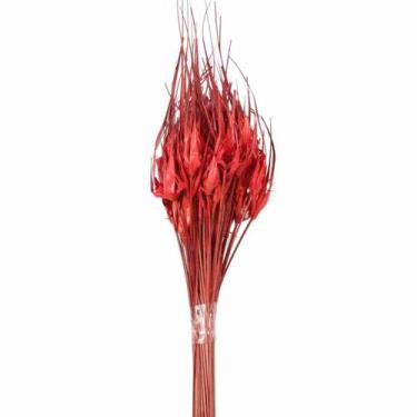 Imagem de Planta Seca Capim Estrela Vermelho 50cm - Pense Flores